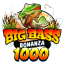 big-bass-bonanza-1000.pl favicon